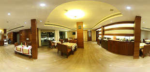 Panoramic View